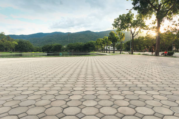Best Residential Paver Driveway  in Franconia, VA